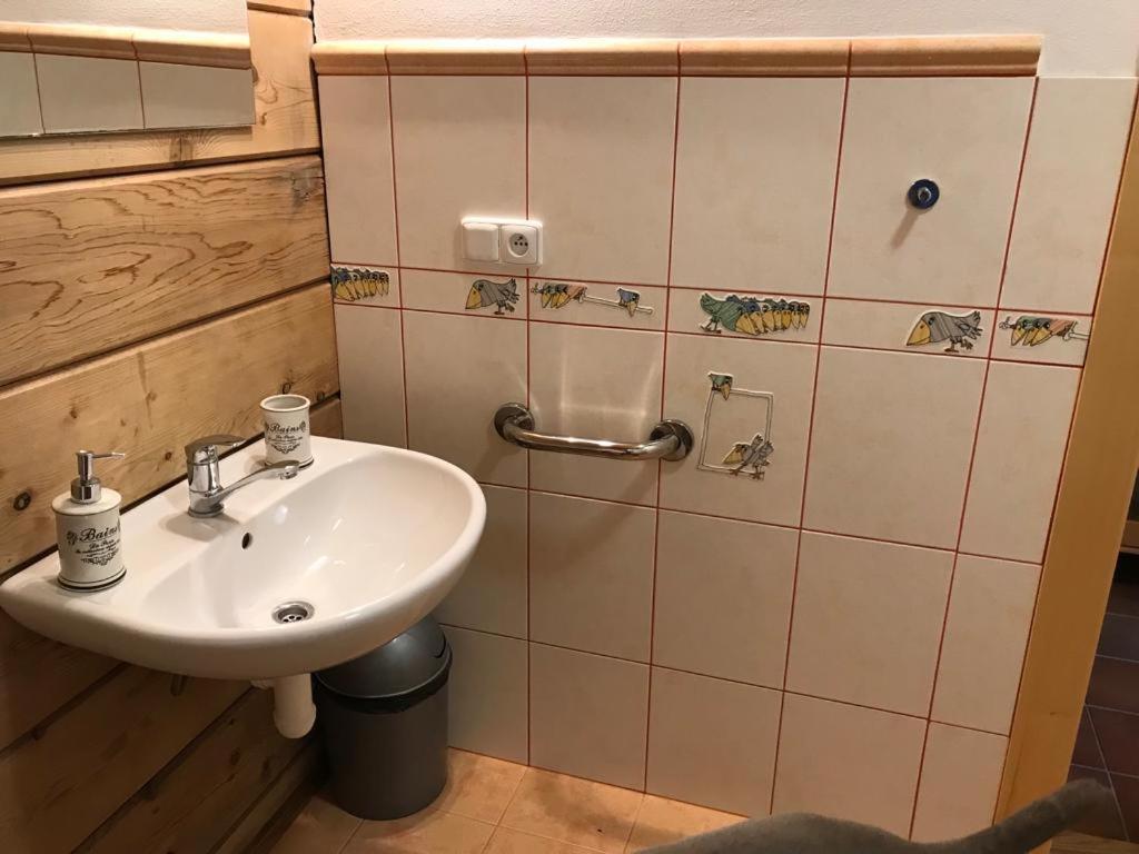 Samota U Hadince Hotel Bartosovice v Orlickych Horach Ngoại thất bức ảnh
