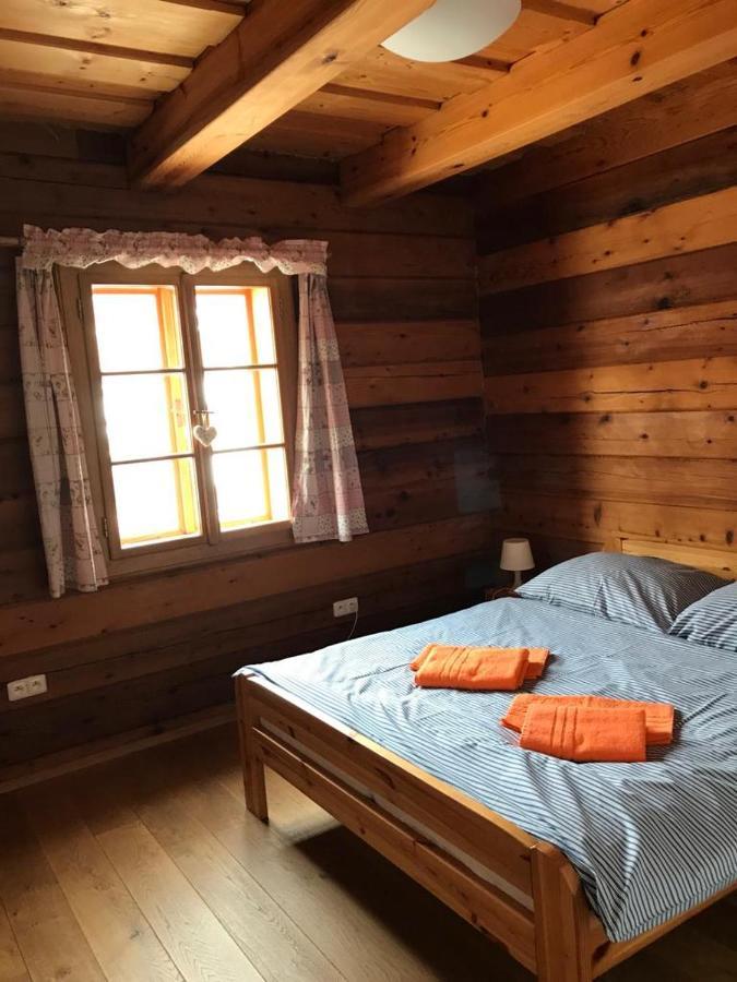 Samota U Hadince Hotel Bartosovice v Orlickych Horach Ngoại thất bức ảnh