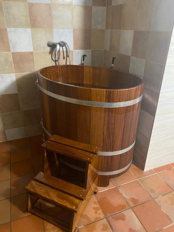 Samota U Hadince Hotel Bartosovice v Orlickych Horach Ngoại thất bức ảnh